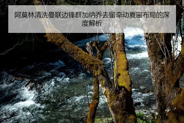 阿莫林清洗曼联边锋群加纳乔去留牵动夏窗布局的深度解析