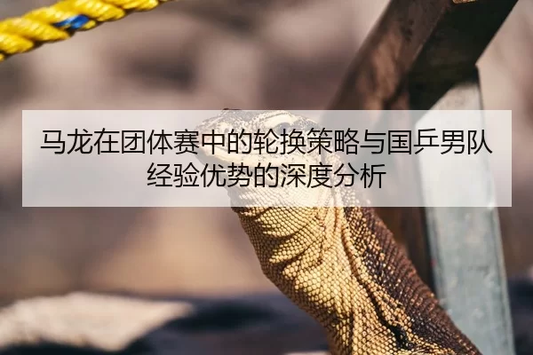 马龙在团体赛中的轮换策略与国乒男队经验优势的深度分析