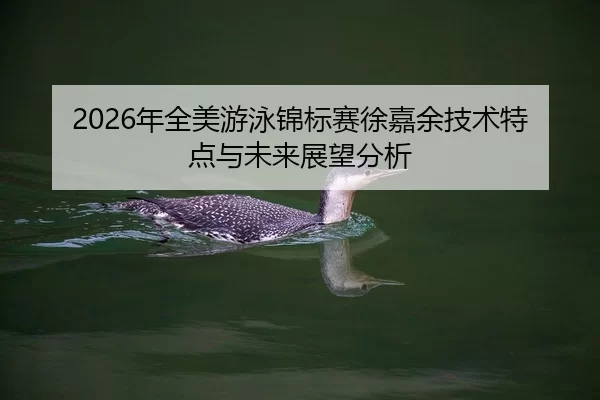 2026年全美游泳锦标赛徐嘉余技术特点与未来展望分析