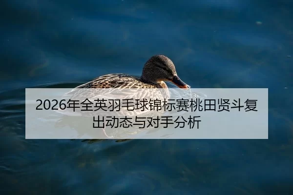 nian-quan-ying-yu-mao-qiu-jin-biao-sai-tao-tian-xian-dou-fu-chu-dong-tai-yu-dui-shou-fen-xi-2-316.jpg
