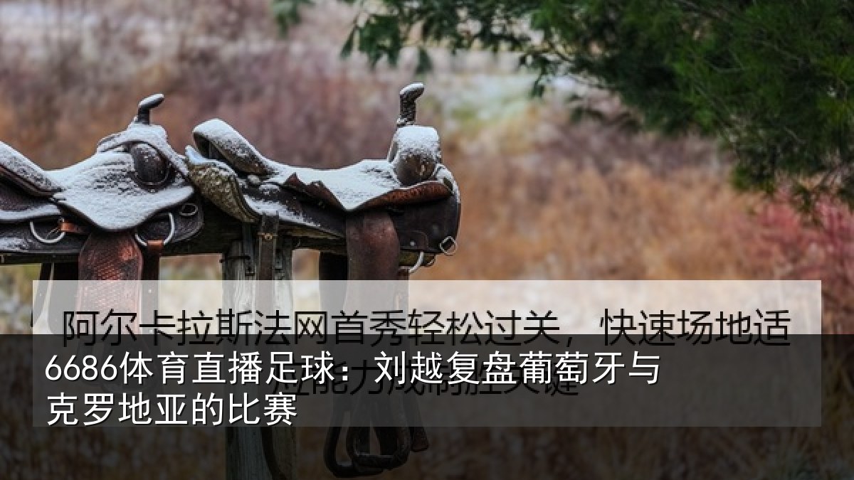 6686体育直播足球：刘越复盘葡萄牙与克罗地亚的比赛
