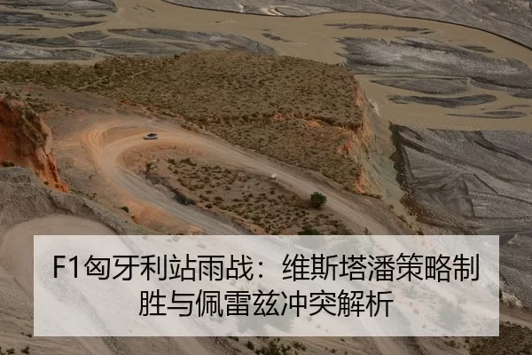 F1匈牙利站雨战：维斯塔潘策略制胜与佩雷兹冲突解析