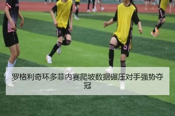 luo-ge-li-qi-huan-duo-fei-nei-sai-pa-po-shu-ju-nian-ya-dui-shou-qiang-shi-duo-guan-3-854.jpg