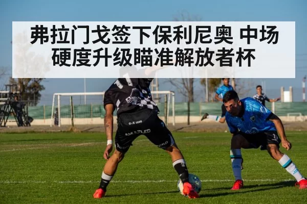 弗拉门戈签下保利尼奥 中场硬度升级瞄准解放者杯