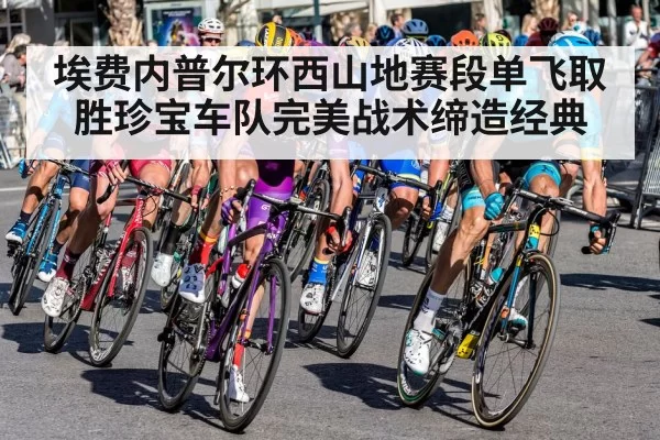 埃费内普尔环西山地赛段单飞取胜珍宝车队完美战术缔造经典