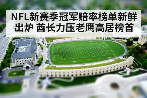 NFL新赛季冠军赔率榜单新鲜出炉 酋长力压老鹰高居榜首